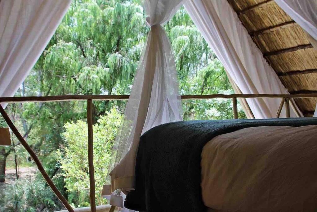 Hot Spring Bungalow In Limpopo Gemsbokfontein Εξωτερικό φωτογραφία